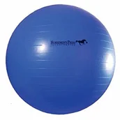 Akcesoria dla gryzoni - JOLLY Jolly Mega ball (30 inch) 75 cm niebieska 430 - miniaturka - grafika 1