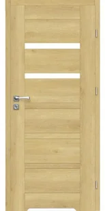 ARTENS Skrzydło drzwiowe ETNA 70 p ARTENS - Drzwi wewnętrzne ARTENS Skrzydło drzwiowe ETNA 70 p ARTENS - Drzwi wewnętrzne - miniaturka - grafika 1