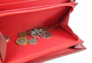 PolskaGalanteria.pl Portfel Damski PolskaGalanteria Długi Suwak Płaski Skóra Naturalna Czerwony z Wstawką Wzór II D14 - Portfele - miniaturka - grafika 8