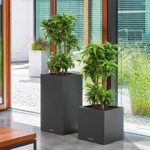 Lechuza Donica CANTO Stone Kolumna 30 biały kwarcowy CANTO S. KOL 30 KWAR - Donice - miniaturka - grafika 9