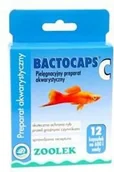 Pokarm dla ryb - Zoolek BACTOCAPS C 12tabl 29894 - miniaturka - grafika 1