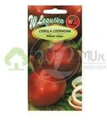 Nasiona i cebule - Legutko Cebula czerwona Karmen 5g - miniaturka - grafika 1