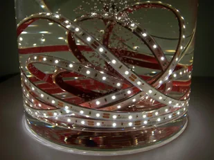 LED Line Taśma 300 SMD 3528 biała dzienna 4000K w osłonie silikonowej IP67 245626 - Taśmy LED - miniaturka - grafika 2