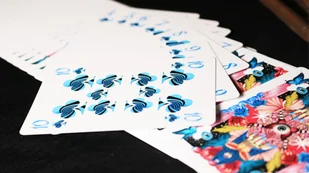 Bicycle Mad World - Gry karciane - miniaturka - grafika 2