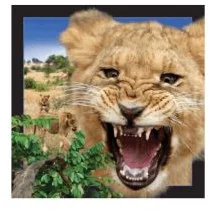 Worth-Keeping Gadżet Worth-Keeping Magnes na lodówkę 3D Lew WIKR-1000423 WIKR-1000423 - Gadżety USB - miniaturka - grafika 2