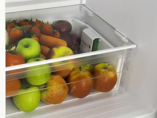 Lodówka AMICA FK2515.4UT - Lodówki - miniaturka - grafika 16