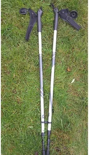 BEST SPORTING Kije trekking BEST SPORTING Classic z rękawiczką galeriasportowa.pl-21872-0 - Kije trekkingowe - miniaturka - grafika 7