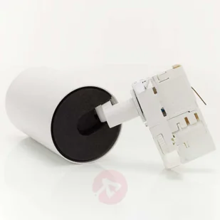 Lampenwelt com 3-fazowy reflektor Brinja, system szynowy, biały - Lampy pozostałe - miniaturka - grafika 2