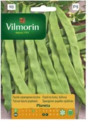 Nasiona i cebule - Vilmorin Nasiona fasolka szparagowa Planeta zielona tyczna - miniaturka - grafika 1