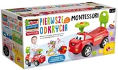 Mały naukowiec - Lisciani Giochi Montessori Moje pierwsze odkrycia 76567 LISCIANI - miniaturka - grafika 1