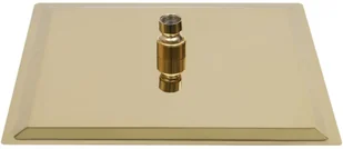 VidaXL Deszczownica ze stali nierdzewnej 25x25 kwadratowa złota 147709 - Deszczownice - miniaturka - grafika 6