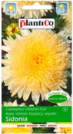 Nasiona i cebule - Plantico Aster Sidonia żółty - miniaturka - grafika 1