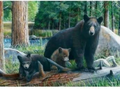 Puzzle - Eurographics Puzzle 1000 elementów. Rodzina niedźwiedzi brunatych - miniaturka - grafika 1