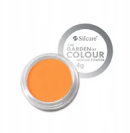 Żele do paznokci - Silcare Akryl Do Paznokci Kolorowy Proszek 17 4g - miniaturka - grafika 1