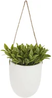 Sztuczne drzewka - Sztuczna roślina doniczkowa w wiszącej doniczce None - miniaturka - grafika 1
