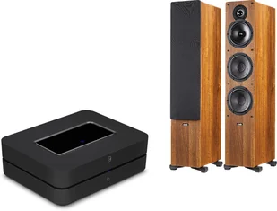 Bluesound POWERNODE + TESI 661 - Zestawy stereo - miniaturka - grafika 2