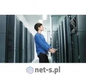 Procesory serwerowe - Fujitsu Intel Xeon Silver 4214 12C 2.20 GHz - miniaturka - grafika 1