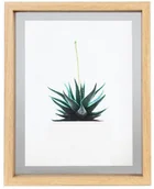 Ramki na zdjęcia - NA SPLENDID Ramka zdjęcia KRON 24 x 19 cm jasnobrązowa MDF - miniaturka - grafika 1