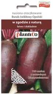 Nasiona i cebule - Plantico Burak ćwikłowy Opolski otoczkowana - miniaturka - grafika 1
