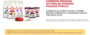 Royal Canin Sensory Taste karma mokra kawałki w sosie 12x85g 303420 - Mokra karma dla kotów - miniaturka - grafika 10