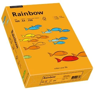 Papyrus Papier Rainbow A4 160g pomarańczowy R24 88042439 - Papier do drukarek - miniaturka - grafika 2