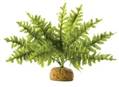 Dekoracje do terrarium - Exo Terra Boston Fern, s PT2990 - miniaturka - grafika 1