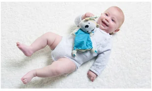 Tiny Love Tiny Smarts, Zawieszka/Szmatka, Miś Polarny Eleanor - Zawieszki dla dzieci i niemowląt - miniaturka - grafika 6