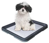 Pozostałe akcesoria dla kotów - Nobby Doggy Trainer, small - miniaturka - grafika 1