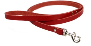 Haas F1 Team ZOO LESZCZ (PL) Soldina Skórzana Dla Psa Taśma 10 mm ZL0103 ZOOLESZCZ (PL) - Smycze dla psów - miniaturka - grafika 2