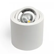 Lampy sufitowe - OxyLED SASARI RO 15W 1436lm 3000K Biała DLN15 36 3K R biały - miniaturka - grafika 1