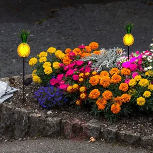 Näve Solarne oświetlenie dekoracyjne LED Ananas - Lampy ogrodowe - miniaturka - grafika 2