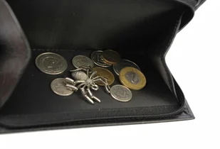 PolskaGalanteria.pl Portfel Damski Skórzany PolskaGalanteria 15 cm Suwak Skóra Naturalna KP D1411 CZARNY Z WSTAWKĄ Skóra Węża - Portfele - miniaturka - grafika 7