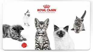 Royal Canin Sterilised 37 10kg + Podkładka pod miskę 227250 - Mokra karma dla kotów - miniaturka - grafika 3