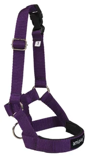 Ami Play Halter Basic 1439 - Smycze dla psów - miniaturka - grafika 3