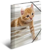 Teczki i skoroszyty - Herma HERMA 19328 na wysoki połysk teczka DIN A4 z tworzywa sztucznego, seria zwierząt, druk teczka z motywem kotów, znaki z Eckspanner gumowy, z wewnętrznym, 1 sztuka 19328 - miniaturka - grafika 1