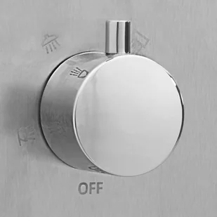 vidaXL Prysznic ogrodowy z podstawą Wpc stal nierdzewna 3051290 - Inne akcesoria do nawadniania - miniaturka - grafika 4