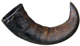 Trixie bawołu kauhorn, l, brązowy 4011905277431 - Suplementy i witaminy dla psów - miniaturka - grafika 2