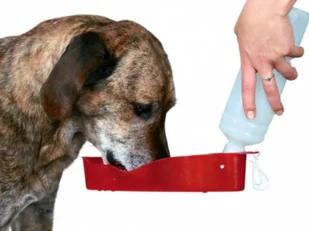 Konica Minolta 8937802 - Tonery oryginalne - miniaturka - grafika 2