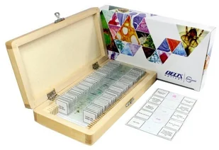 Delta Optical DeltaOptical DeltaOptical Zestaw preparatów biologicznych DO-4101 50 szt.) - Mikroskopy i lupy - miniaturka - grafika 2
