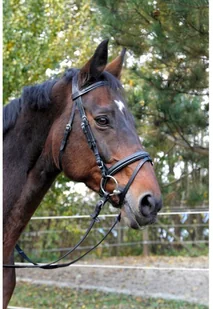 Kerbl Ogłowie wędzidłowe Classic, skóra, czarne, rozmiar Pony, 326137 - Ogłowia - miniaturka - grafika 2