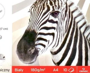 Canson Blok do malowania A4 120g. - biały - Szkolne artykuły papiernicze - miniaturka - grafika 3