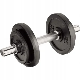 Hantla żeliwna 10 kg Best Sporting śr.30mm - Hantle i ciężarki - miniaturka - grafika 2