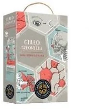 Xplore Team. Gra edukacyjna. Ciało człowieka - Książki edukacyjne - miniaturka - grafika 2