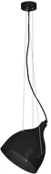 Lampy sufitowe - Luminex Żyrandol na lince NOANET 1xE27/60W/230V (8892) - miniaturka - grafika 1