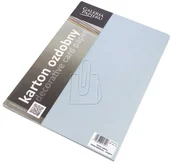 Papier do drukarek - Galeria Papieru KARTON WIZYTÓWKOWY ARGO 220G PRIME NIEBIESKO - SREBRNY 20 SZT. - miniaturka - grafika 1