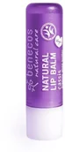 Balsamy do ust - BENECOS Naturalny balsam do ust CZARNA PORZECZKA - miniaturka - grafika 1
