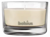 Świece - Bolsius True Scents Świeca zapachowa w szkle 63/90 Wanilia - miniaturka - grafika 1