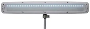 MAUL Lampka LED na biurko MAULwork, 21W, ze ściemniaczem, mocowana zaciskiem, biała M8205202 - Lampy stojące - miniaturka - grafika 4