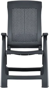 vidaXL Rozkładane krzesła do ogrodu, 2 szt., plastikowe, antracytowe - Fotele i krzesła ogrodowe - miniaturka - grafika 3