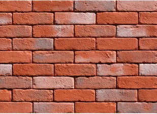 Stones Kamień dekoracyjny z fugą Oxford 3 - Płytki klinkierowe - miniaturka - grafika 2